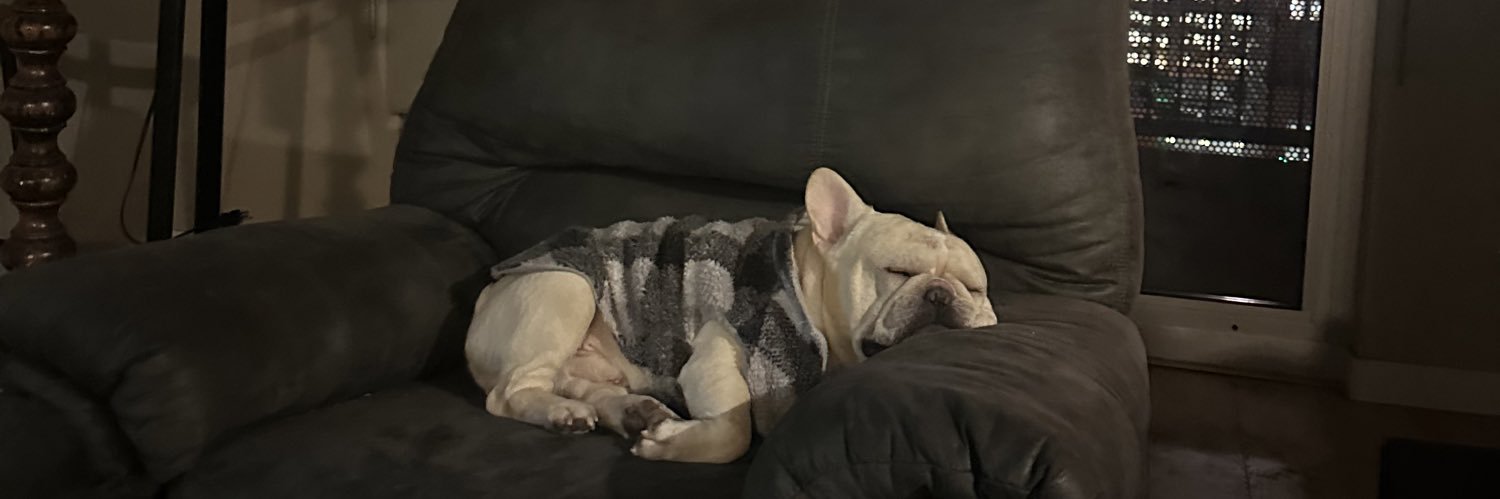 FrenchyTheFrenchie banner