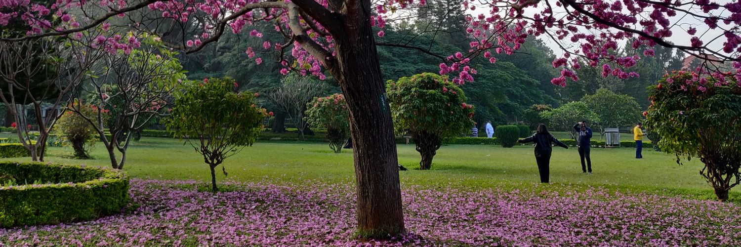 santhubasu's profile banner image