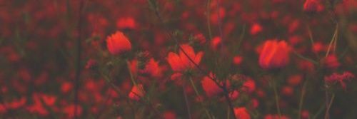 EaseMePlease's profile banner image