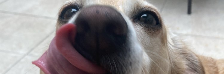 giø banner