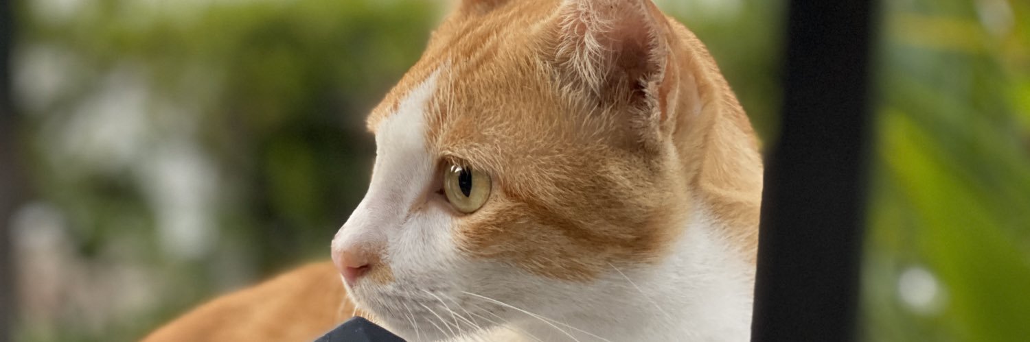 hazimzein's profile banner image