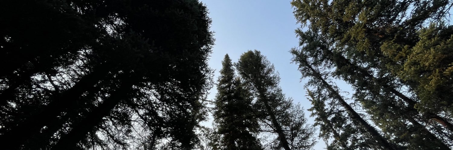 Porter_Graham_'s profile banner image