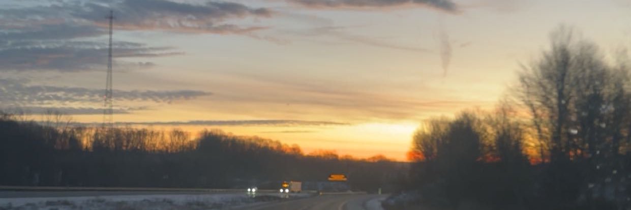 nicolettee_rose's profile banner image