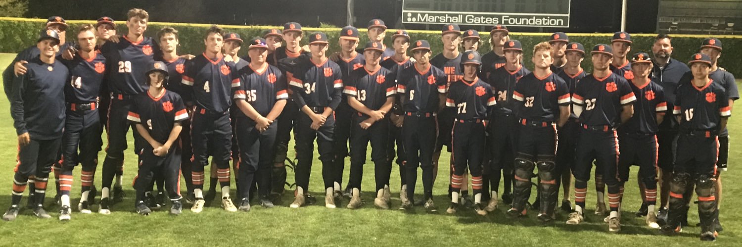 Brighton Baseball banner