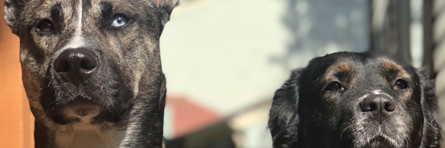 fgutierrez93's profile banner image