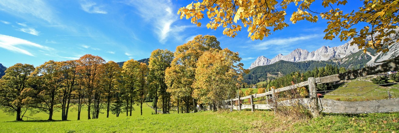 Ramsau am Dachstein banner