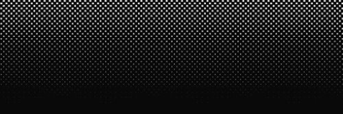 ✦Ploom banner