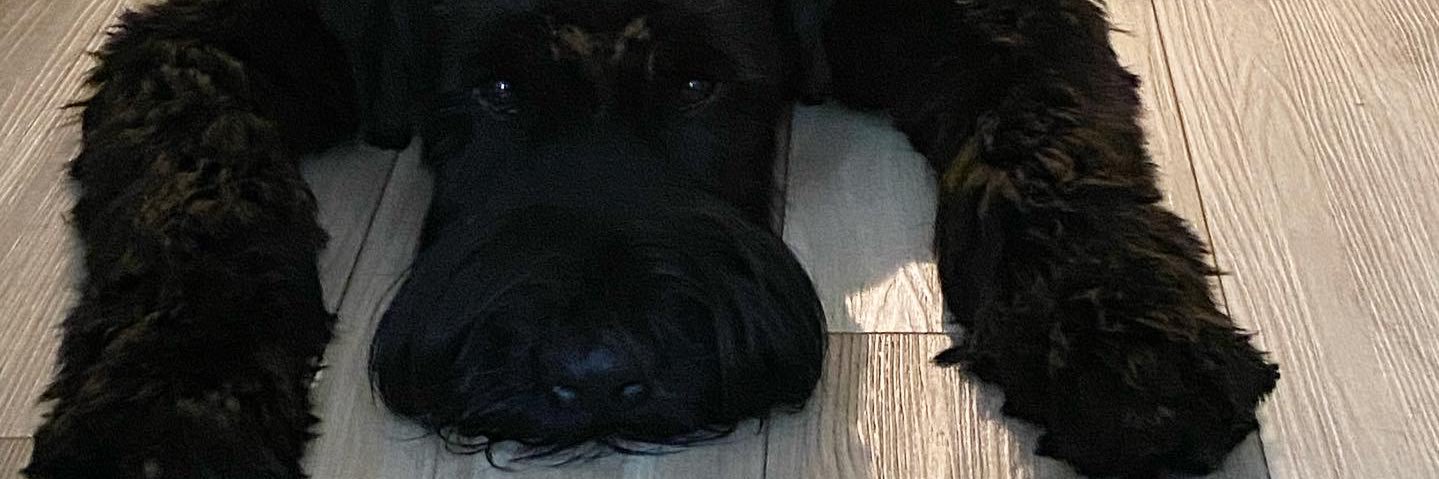 Kala Jerzy banner