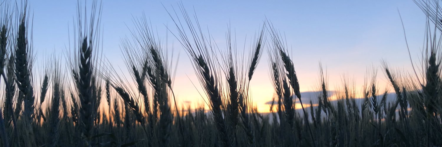 Amber Danderfer banner