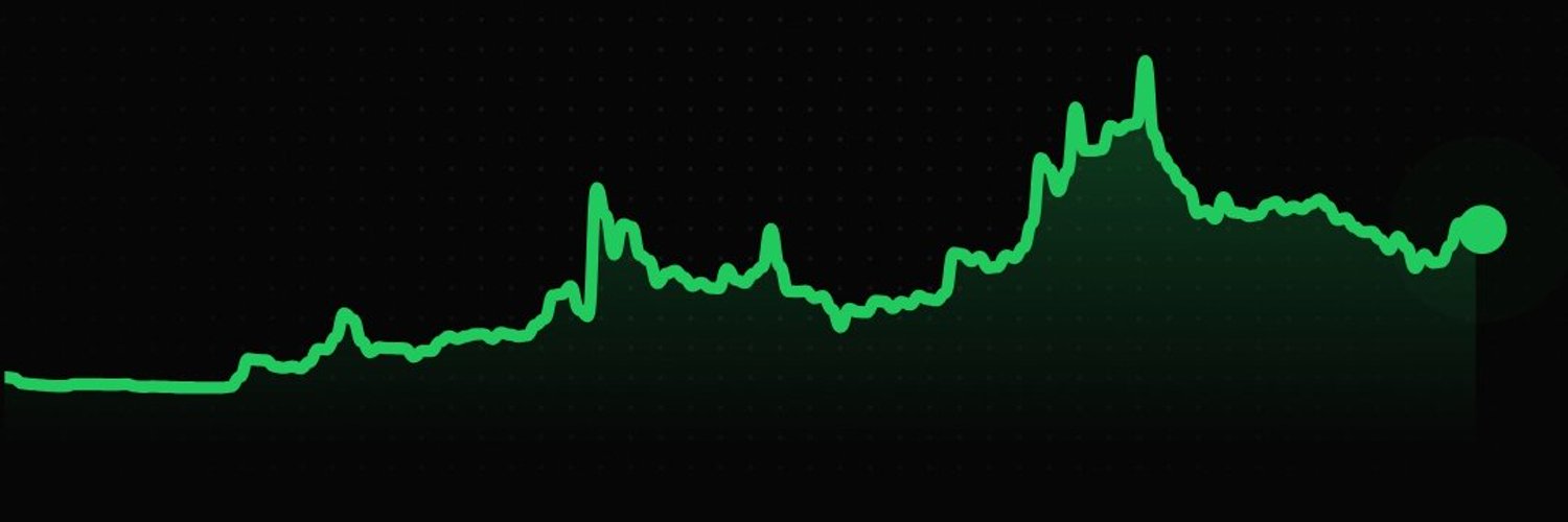 nekoohl's profile banner image