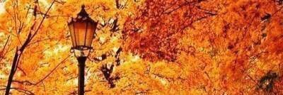 madiannbennett's profile banner image