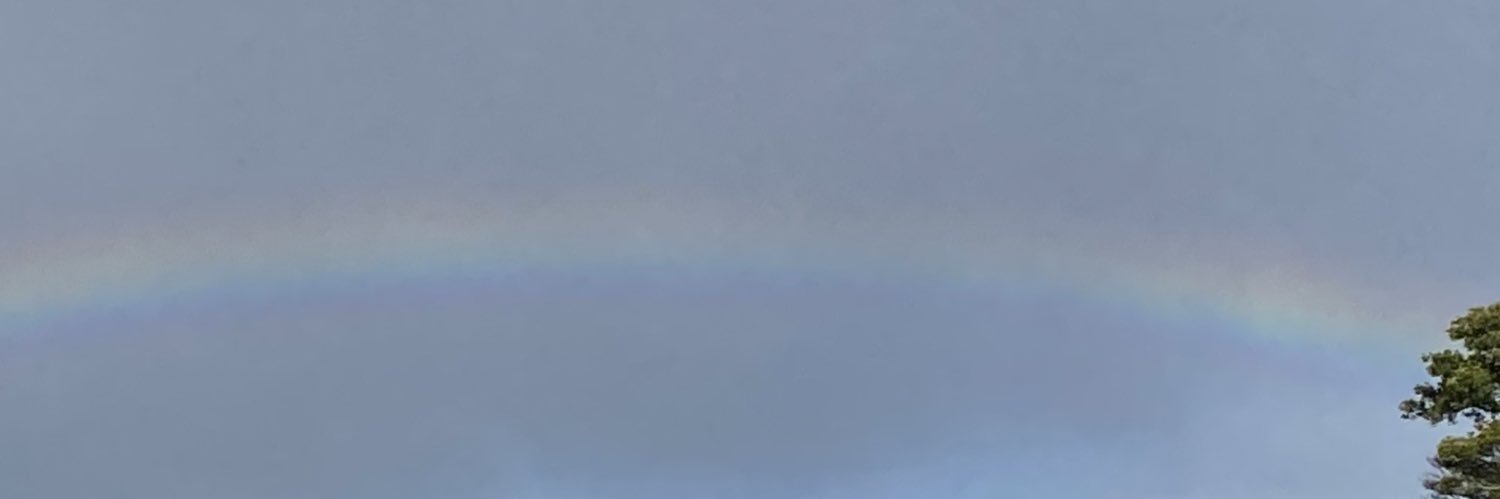 LYK banner