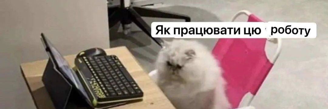 ель ґато banner