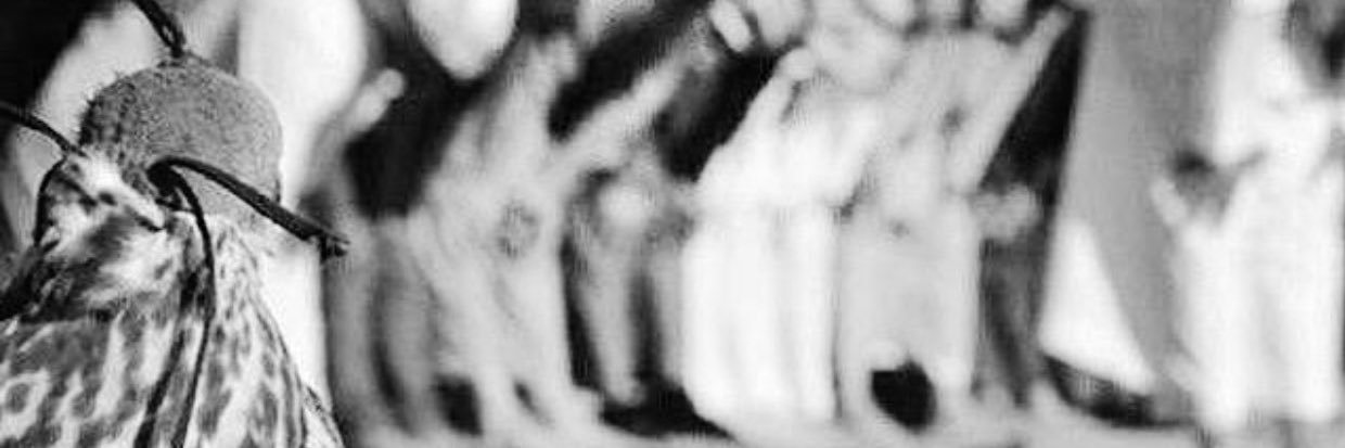 رانيا🕊 banner