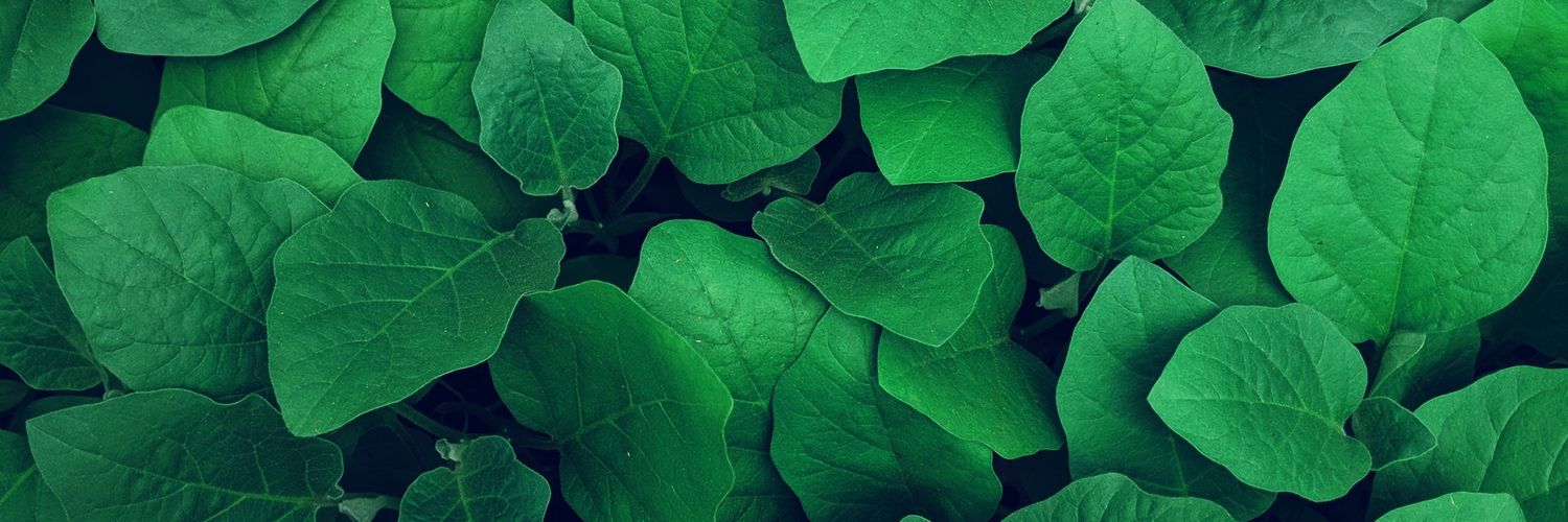 rdth_'s profile banner image