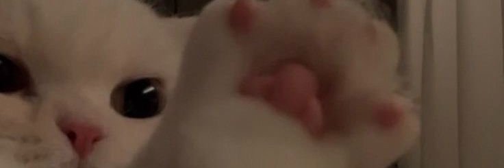 alexaa2hot's profile banner image