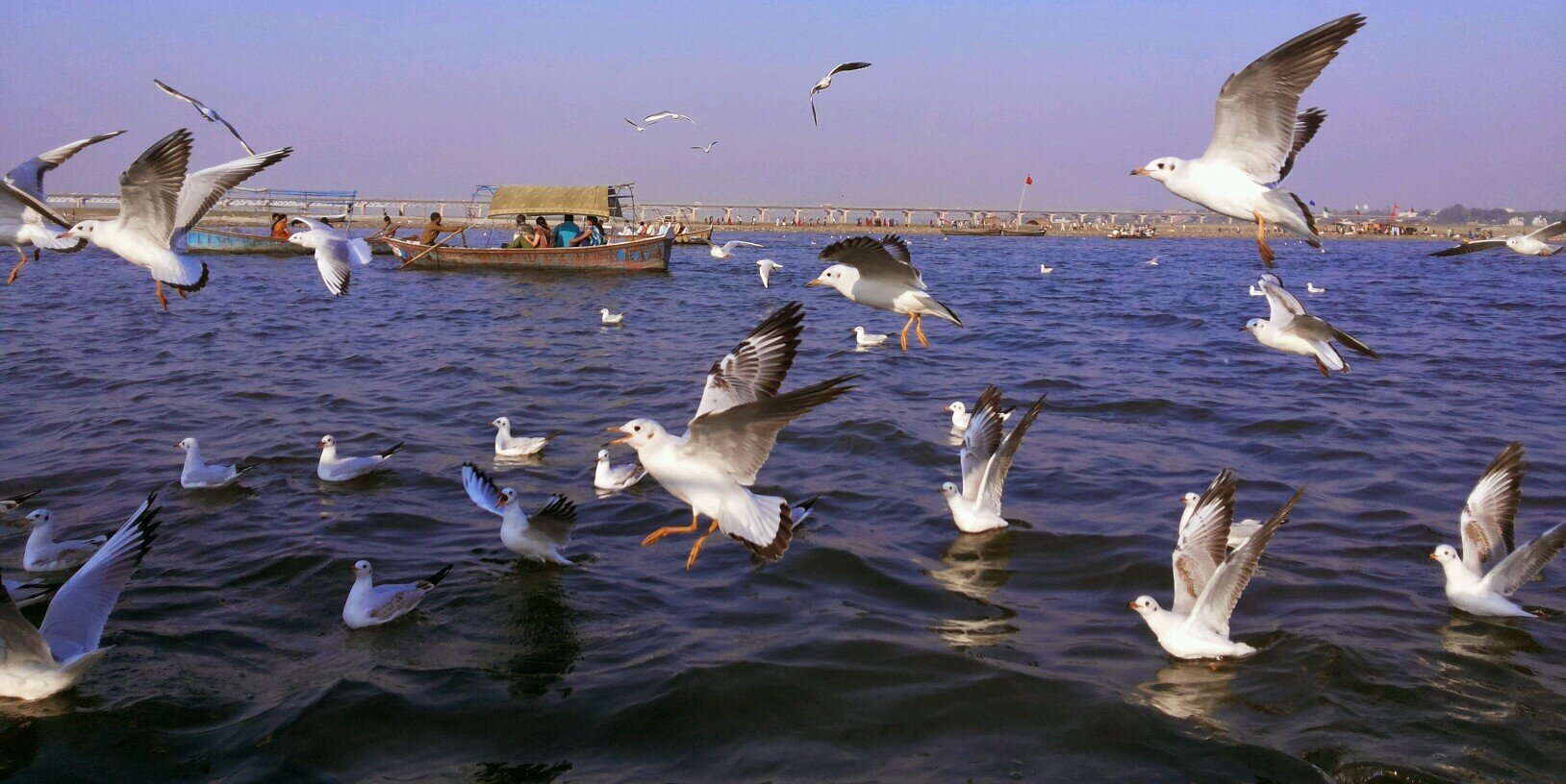 daksha_aditya's profile banner image