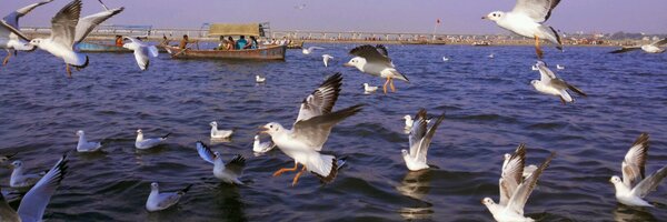 daksha_aditya Profile Banner