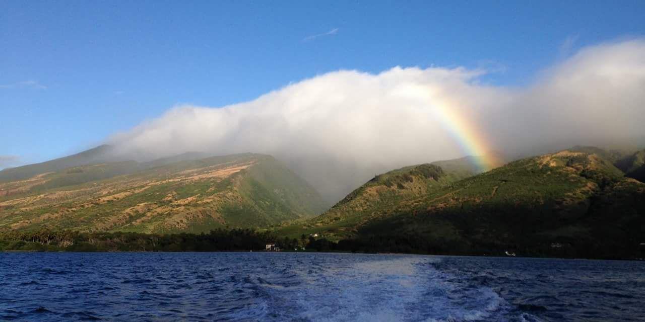 よーちゃん banner