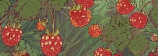 ryokajiw's profile banner image