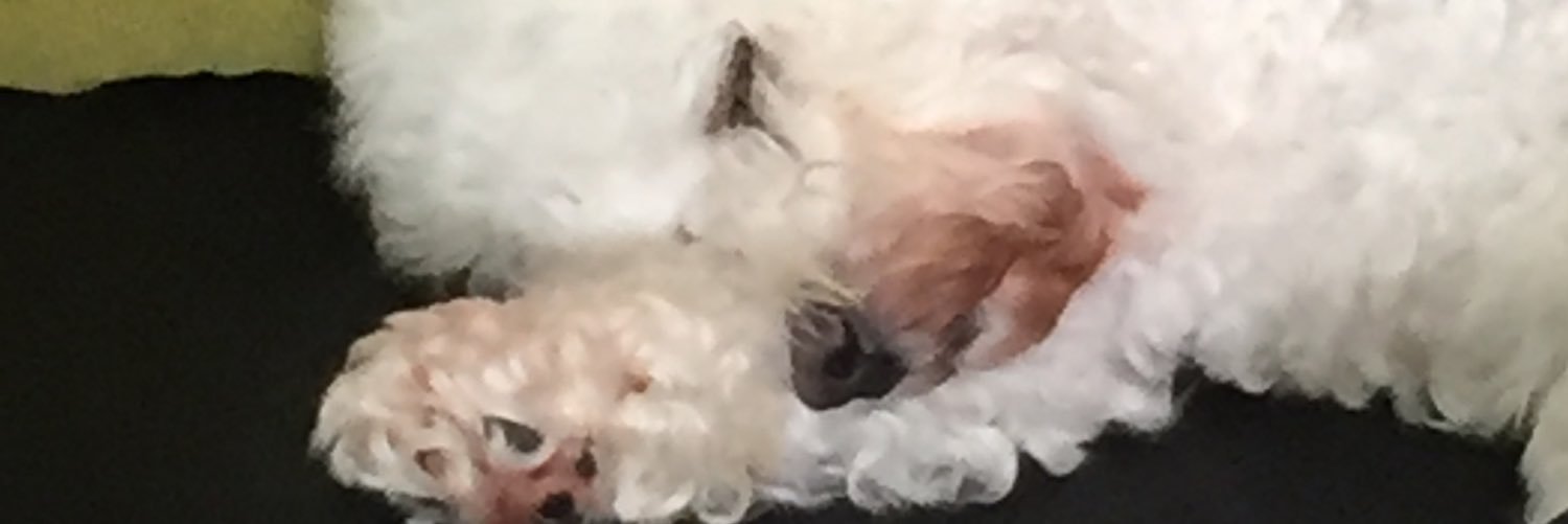Logan_the_Grey's profile banner image