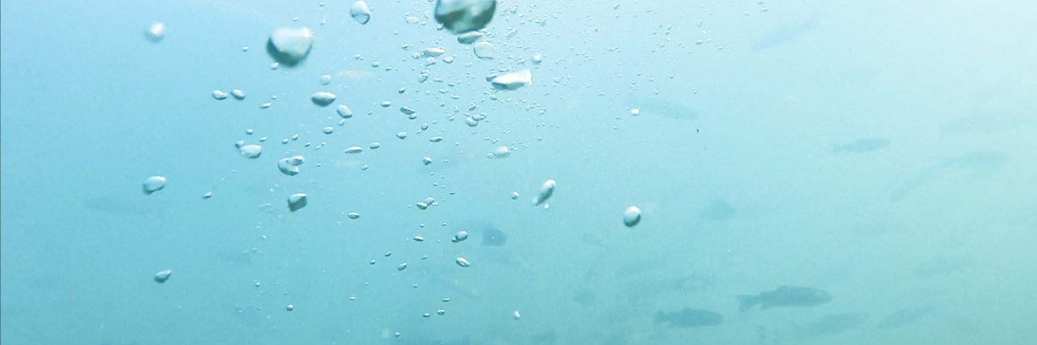 benbennitt's profile banner image