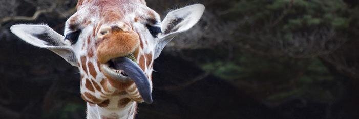 katester7777's profile banner image