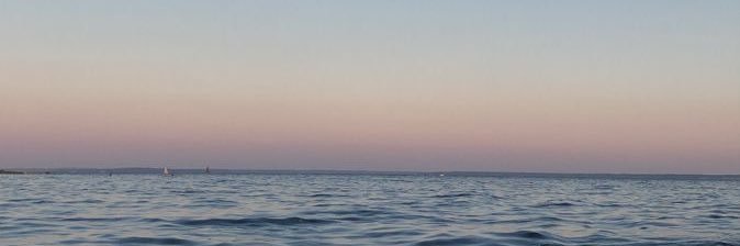 lrsbee_'s profile banner image