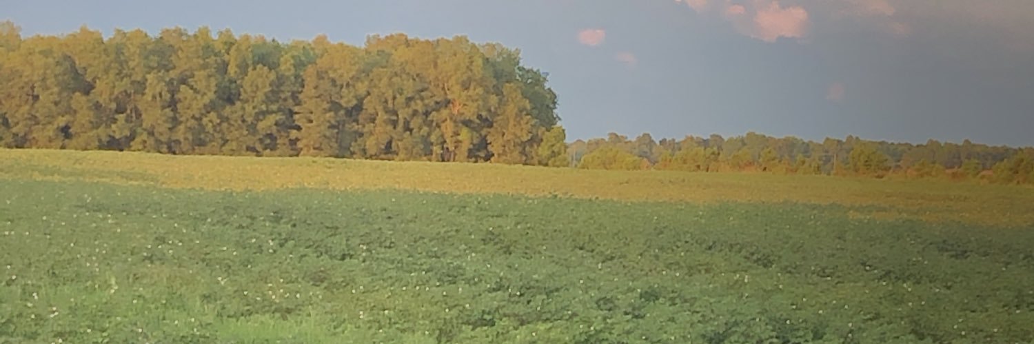 cturner7211's profile banner image