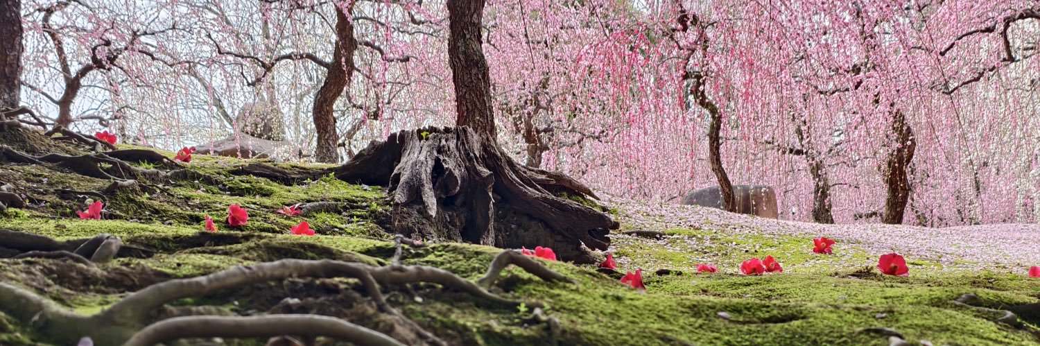 Alexander Thian banner