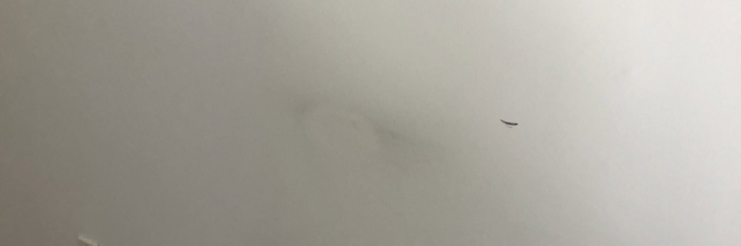 Now With 25% More Kaye banner