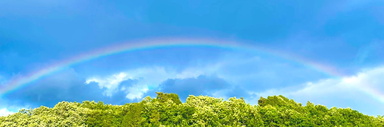 sirotuki's profile banner image
