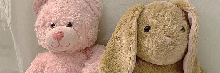 🦢🛍️𓂃✧𓂂 banner