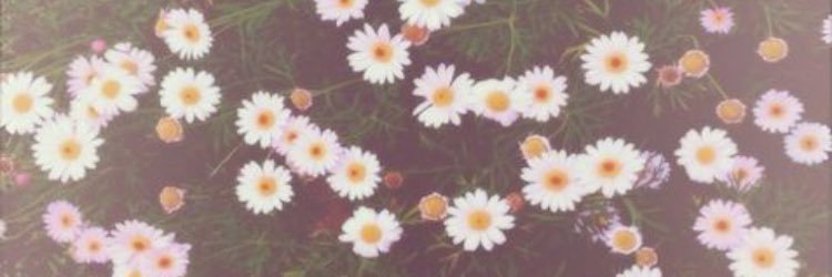 anna_tice's profile banner image