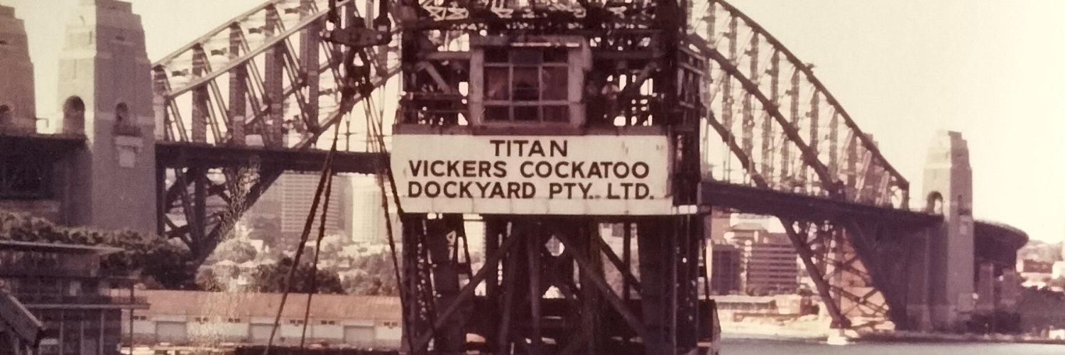 MelBrooksbrain's profile banner image