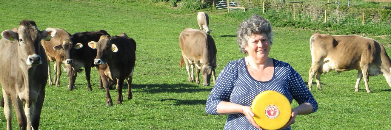 Catherine Temple banner