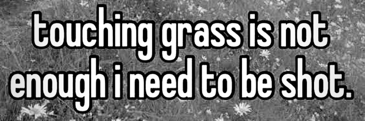 ⋆˚࿔ skyl3r 𝜗𝜚˚⋆✮♡₊˚ 🦢・₊✧ banner