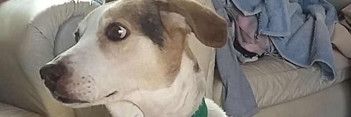 vanuchyvanb's profile banner image