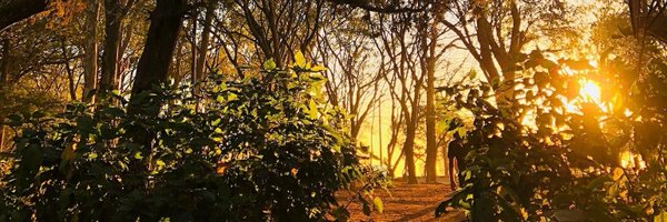 snigdhashahi08 Profile Banner