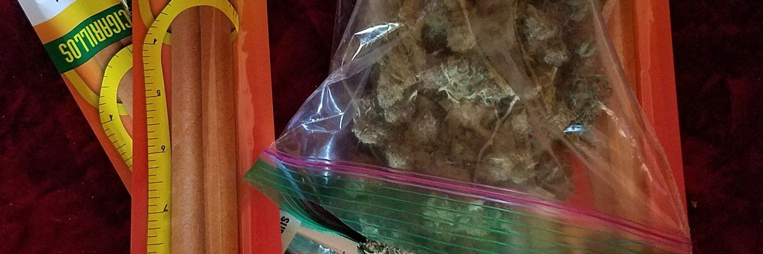 BluntsNBullshit's profile banner image