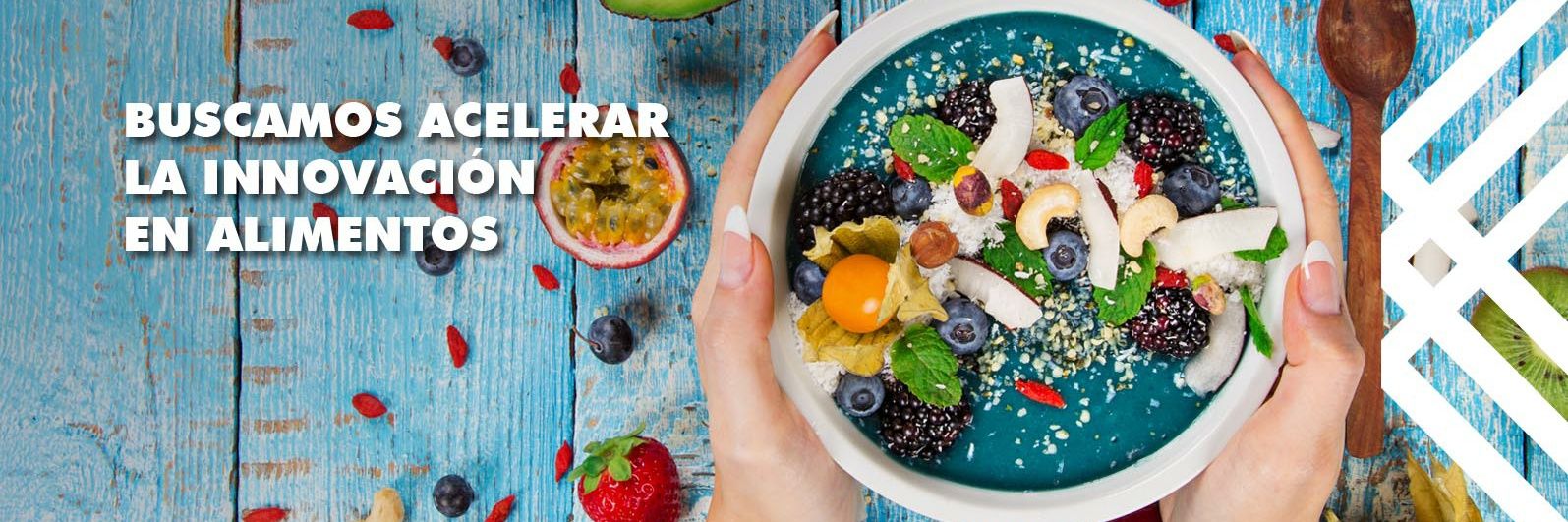 CeTA Alimentos banner