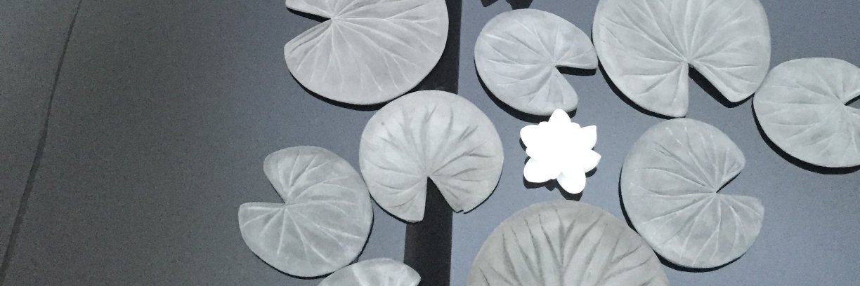 Nico Rohrbach banner