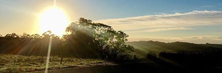 maxmoran_23's profile banner image