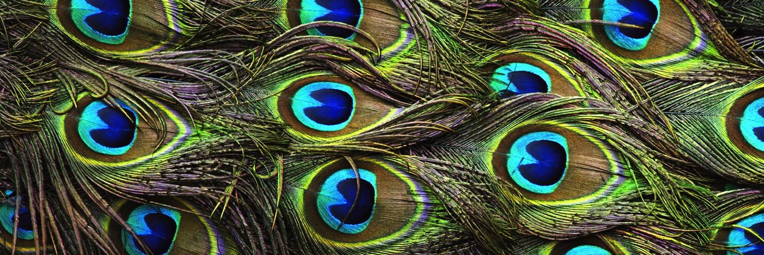 Kellie Gergits banner