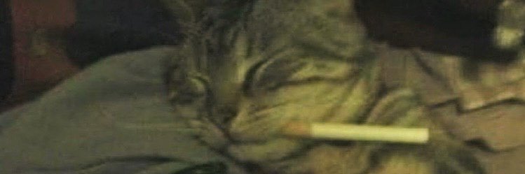 SlowSuiciide's profile banner image