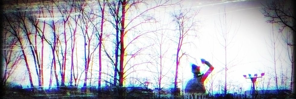 AllMyRols's profile banner image