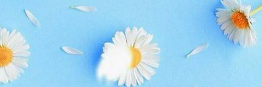 manal4191's profile banner image
