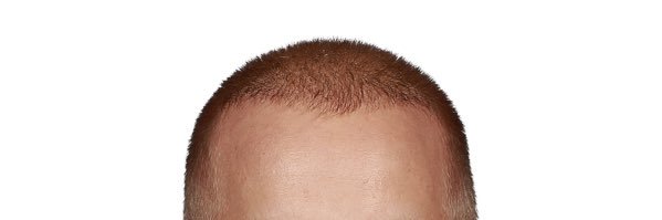 Liam! - 1st line HOGGY banner