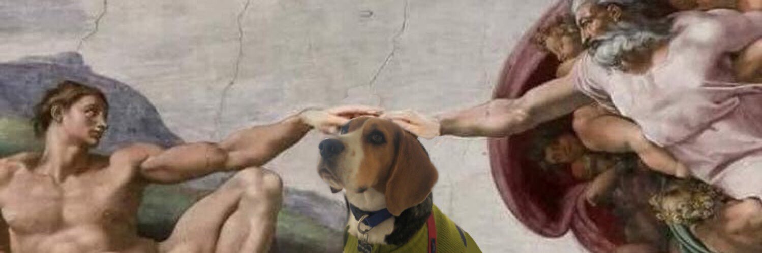taniagdz's profile banner image
