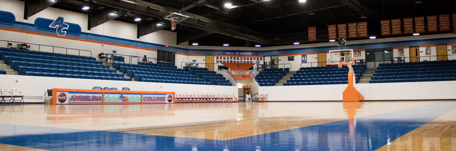 Angelina Men’s Basketball banner